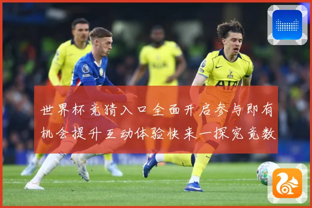 世界杯竞猜入口全面开启参与即有机会提升互动体验快来一探究竟数据研判