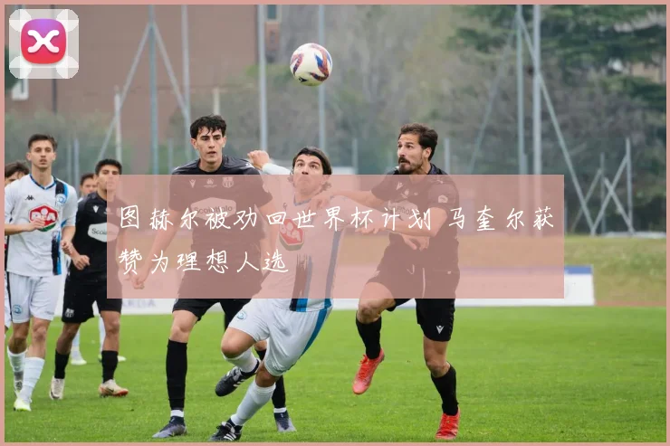 图赫尔被劝回世界杯计划 马奎尔获赞为理想人选