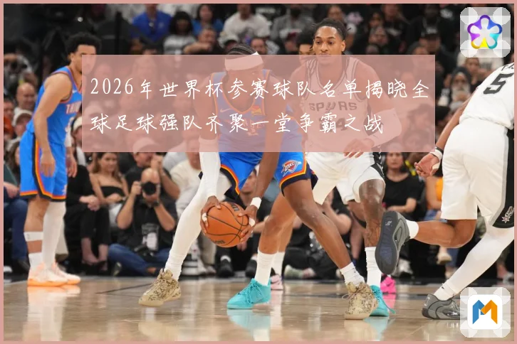 2026年世界杯参赛球队名单揭晓全球足球强队齐聚一堂争霸之战