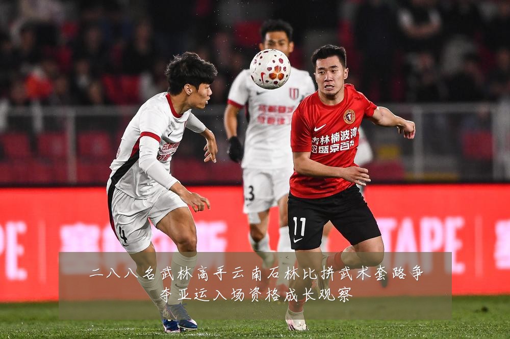二八八名武林高手云南石林比拼武术套路争夺亚运入场资格成长观察